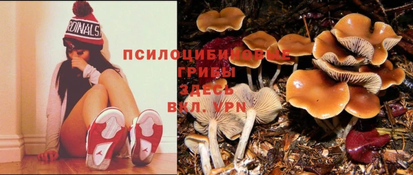 трава Белоозёрский